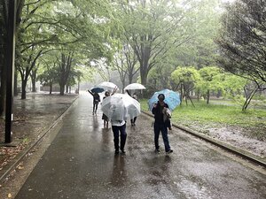 代々木ポイ（井の頭ポイ166） Yoyogi Poi