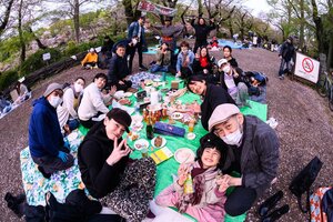 お花見 井の頭ポイ 174