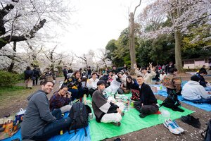 井の頭ポイ 195 お花見
