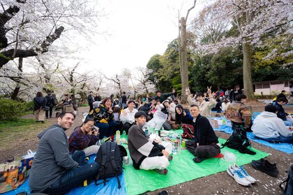 井の頭 お花見ポイ 206